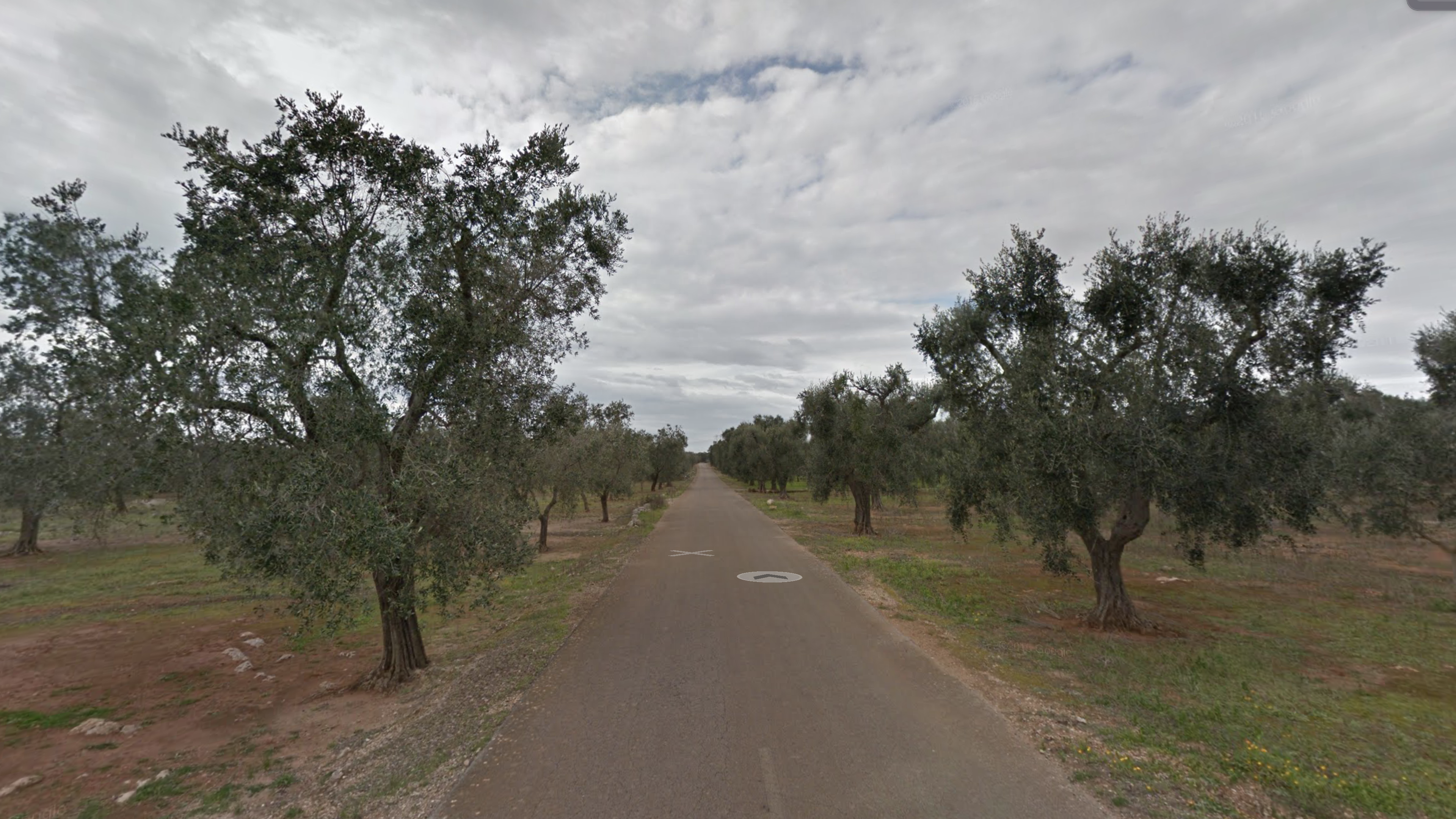 ITINERARY OF THE VILLAGES AMONG OLIVE GROVES AND VINEYARDS