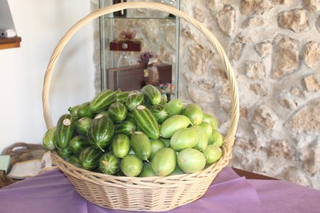 Meloncella
