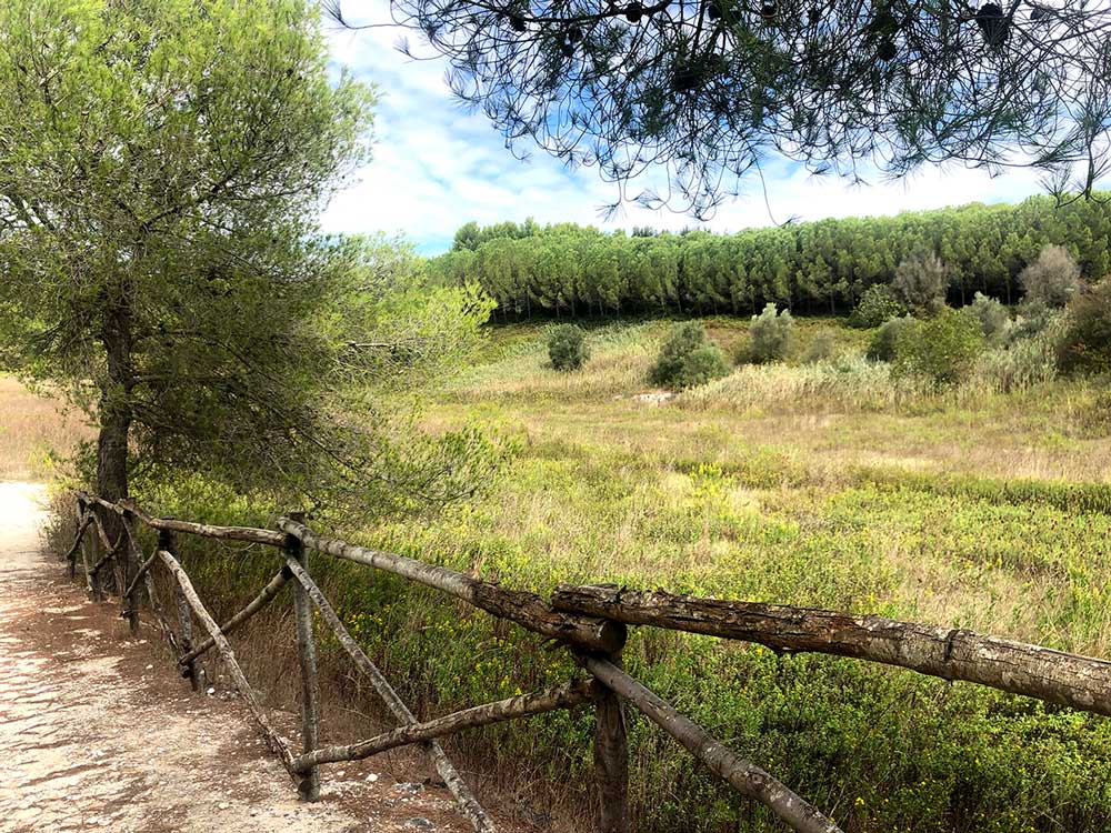 Parco dei Fossili e Museo Malacologico e delle Argille