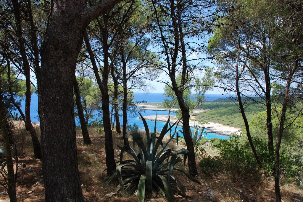 Parco naturale regionale di Porto Selvaggio e Palude del Capitano