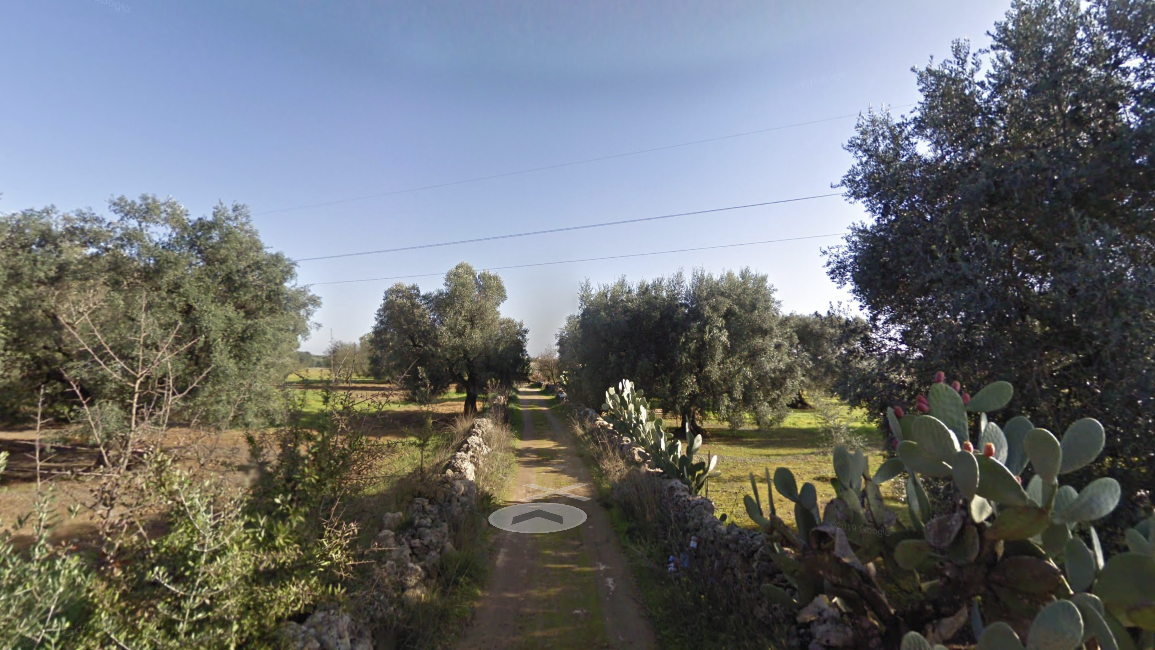 ITINERARY OF THE VILLAGES AMONG OLIVE GROVES AND VINEYARDS