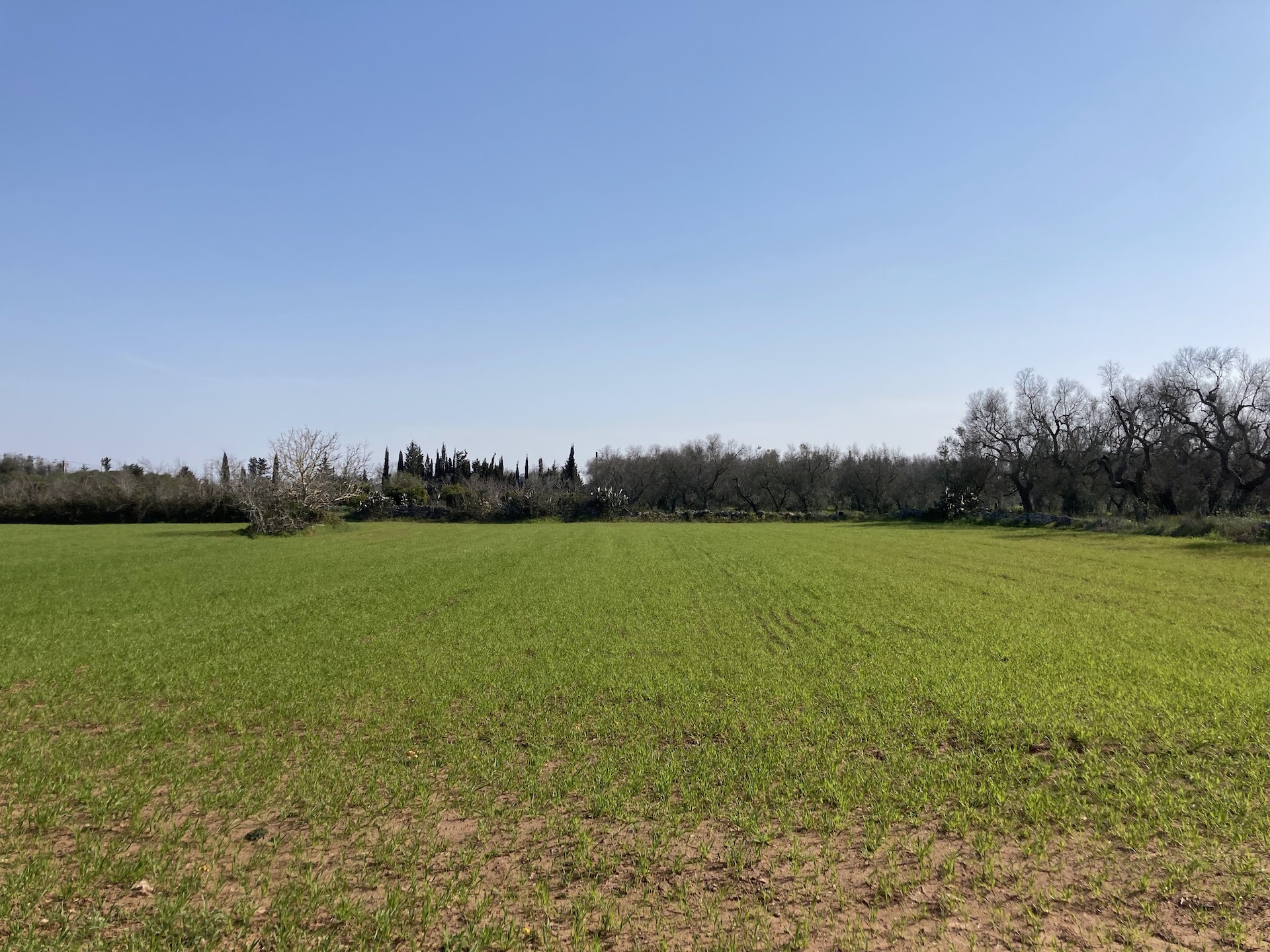 Da Otranto a Maglie tra menhir, atmosfere greco-bizantine e panorami della costa più a oriente d’Italia Da Otranto a Maglie tra menhir, atmosfere greco-bizantine e panorami della costa più a oriente d’Italia